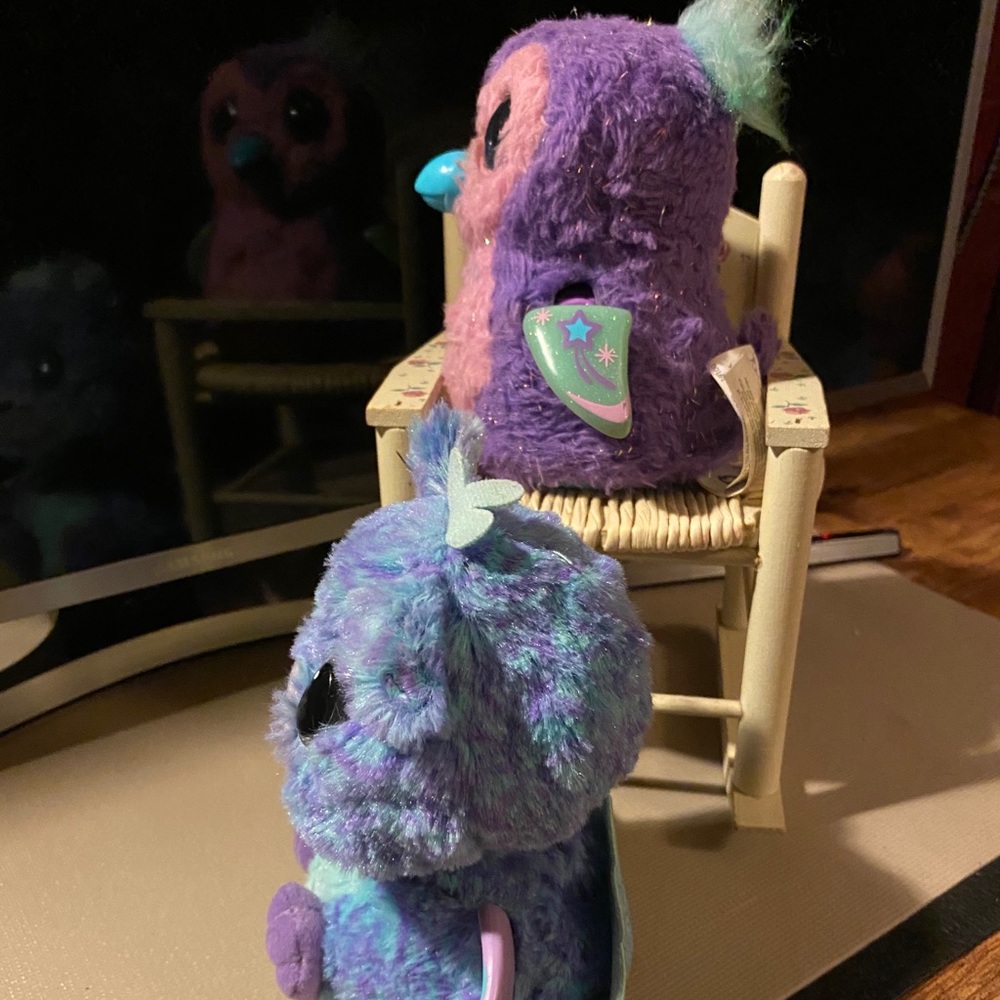 Kids Hatchimals - Picture 4 of 5